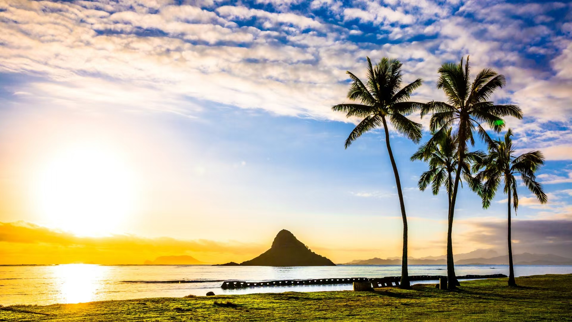 利用AI赚钱，每天花半小时，一天收益1549，没特长就做这个手机副业，新手也能上手